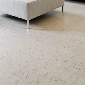 Personality Moonlight