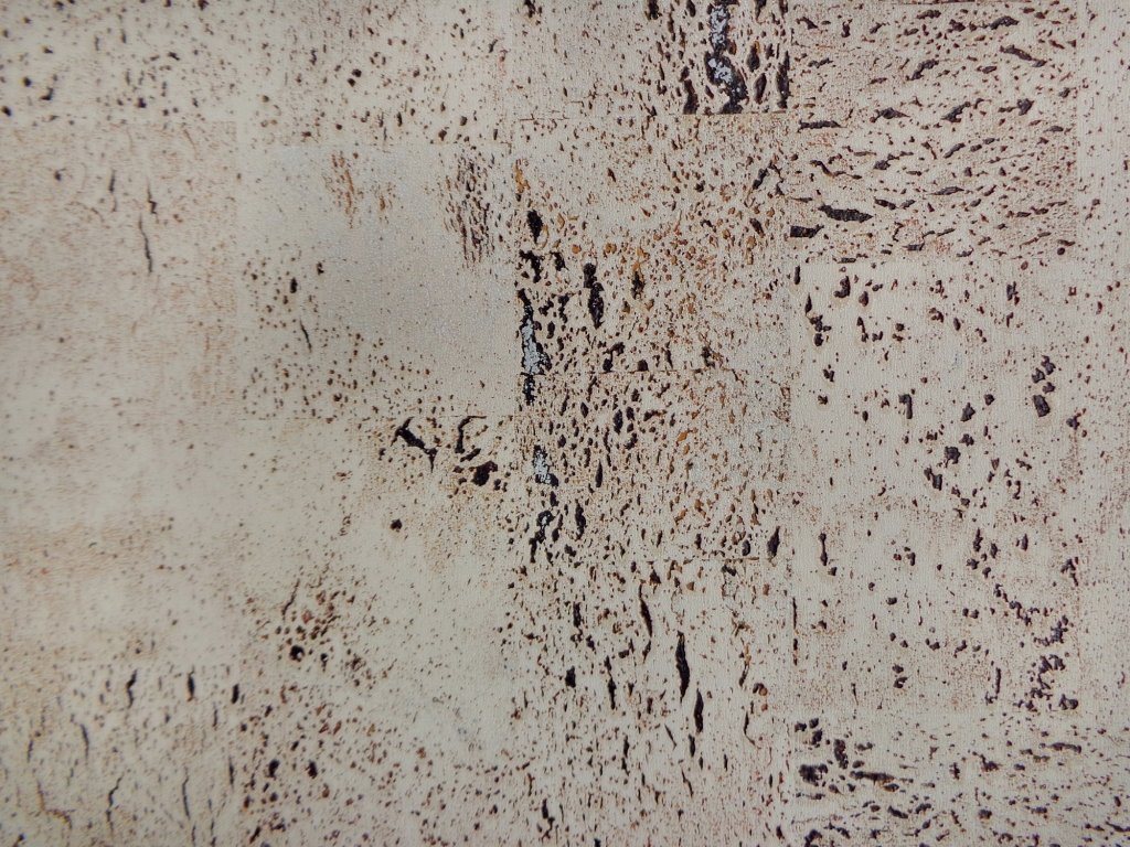 EuropaPB2