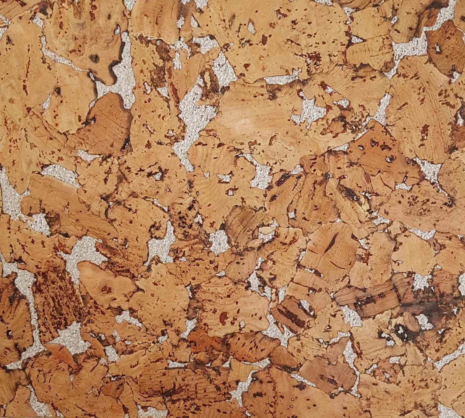 зображення_viber_2021-11-10_12-48-41-829