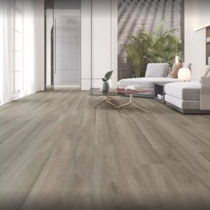 Вінілова підлога Econfloor SPC 2585