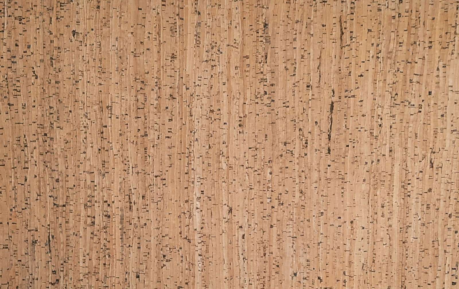 зображення_viber_2023-02-08_11-20-27-683