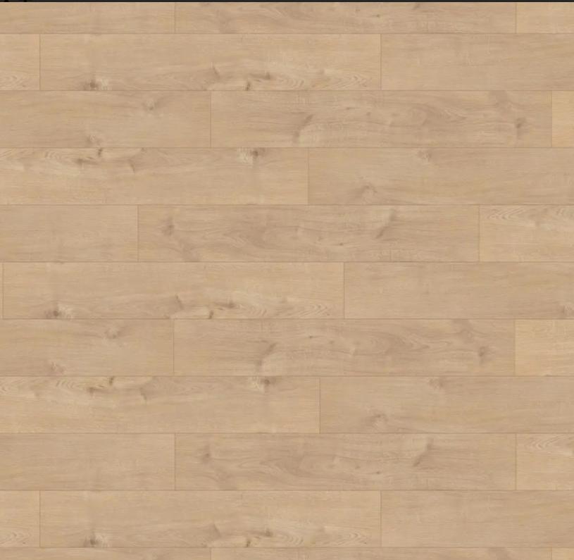 зображення_viber_2025-08-01_12-58-01-369