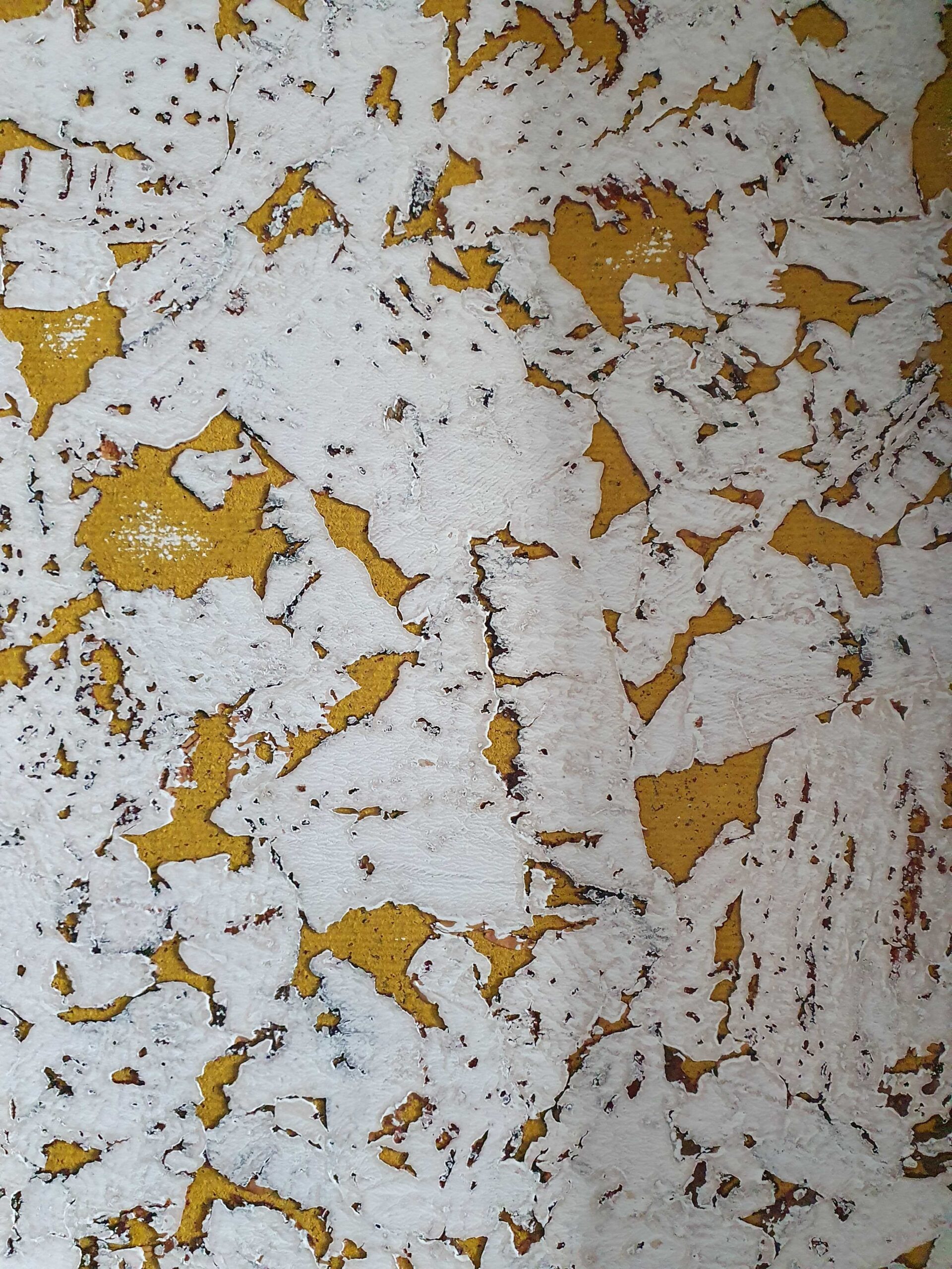 20231030_091607